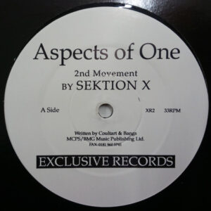 Sektion X - Aspects Of One (12")