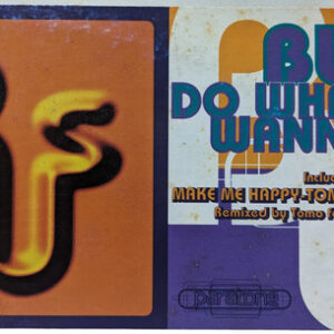 B.U.S. (2) - Do What You Wanna Do (2x12", Single)