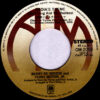 Barry De Vorzon And Perry Botkin Jr. - Nadia's Theme(The Young And The Restless) (7", Single) - 画像 (3)