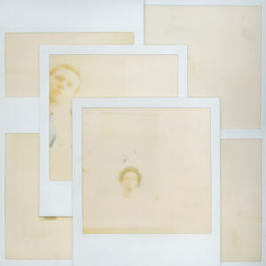 Themselves - The No Music (2xLP, Album)