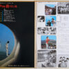ザ・タイガース - The World Is Waiting For Us (LP, Album, RE) - 画像 (3)