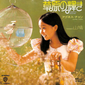 アグネス・チャン - 草原の輝き (7", Single)