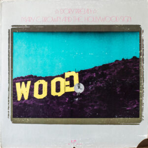Dory Previn - Mary C. Brown And The Hollywood Sign (LP, Album)