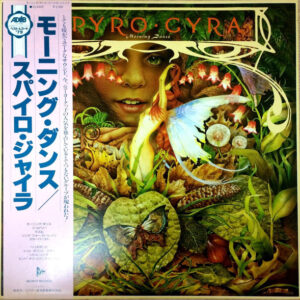 Spyro Gyra - Morning Dance (LP, Album)