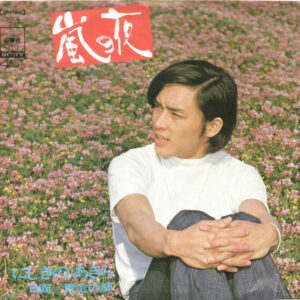 にしきのあきら - 嵐の夜 (7", Single)