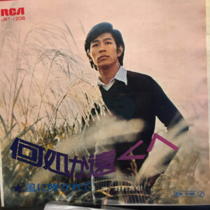野村将希 - 何処か遠くへ (7")