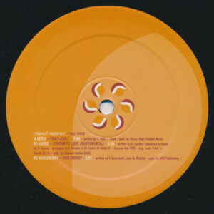 Various - Radius 003 (12", Comp)
