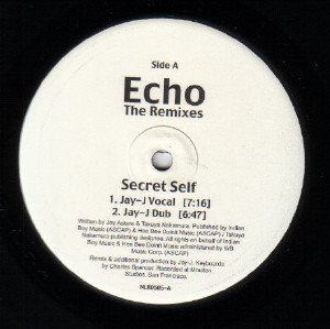 Echo (3) - The Remixes (12")