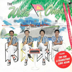 加瀬邦彦 & ザ・ワイルド・ワンズ - 白い水平線 (7", Single)