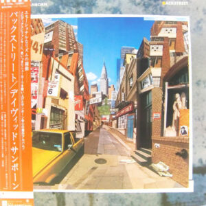 David Sanborn - Backstreet (LP, Album)