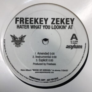 Freekey Zekey - Hater What You Lookin' At (12", Promo)