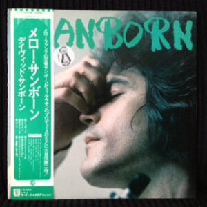 David Sanborn - Sanborn (LP, Album)