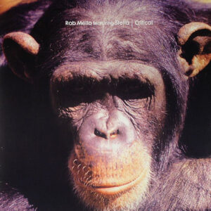 Rob Mello Featuring Stella Attar - Critical (12")