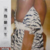 Diana Ross - Why Do Fools Fall In Love (LP, Album, Gat) - 画像 (2)