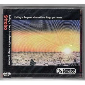 Strobo (7) - Ending Is The Point Where All The Things Get Started (LP, Album)
