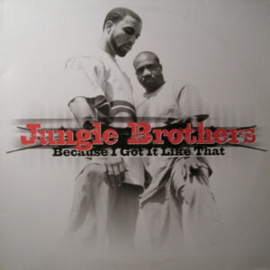 Jungle Brothers - Because I Got It Like That (12", Single)