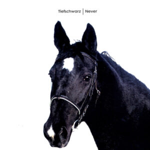 Tiefschwarz - Never (12")