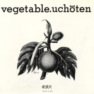 有頂天 - Vegetable (7")