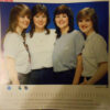 The Nolans = ノーランズ - All About Nolans (2xLP, Comp + Box, Ltd, S/Edition) - 画像 (5)