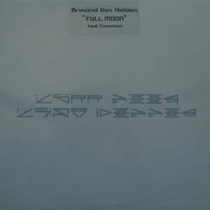 Armand Van Helden Feat. Common - Full Moon (12")