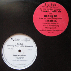 Big Bub - Need Your Love (12", Promo)