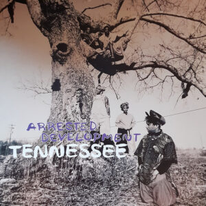 Arrested Development - Tennessee (12")