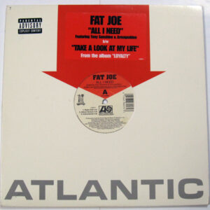 Fat Joe - All I Need / Take A Look At My Life (12")