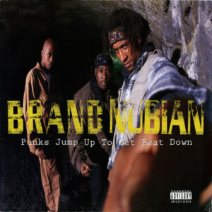 Brand Nubian - Punks Jump Up To Get Beat Down (12")