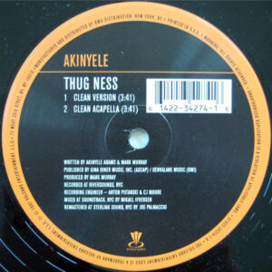 Akinyele - Thug Ness (12", Single, RM)