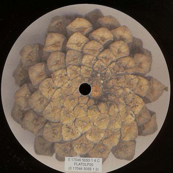 µ-Ziq - In Pine Effect (2xLP, Album) - 画像 (5)