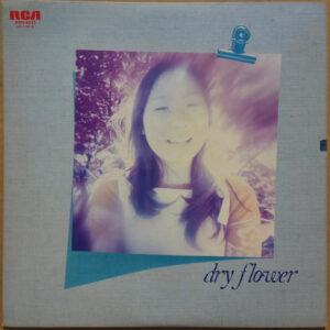 入江恵真 - ドライフラワー = Dry Flower (LP, Album, Promo)