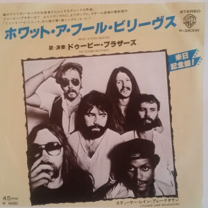 The Doobie Brothers = ドゥービー・ブラザーズ - What A Fool Believes = ホワット・ア・フール・ビリーヴス (7", Single)