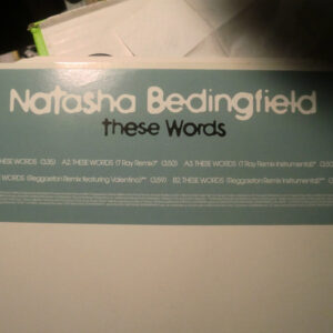 Natasha Bedingfield - These Words (12", Promo)