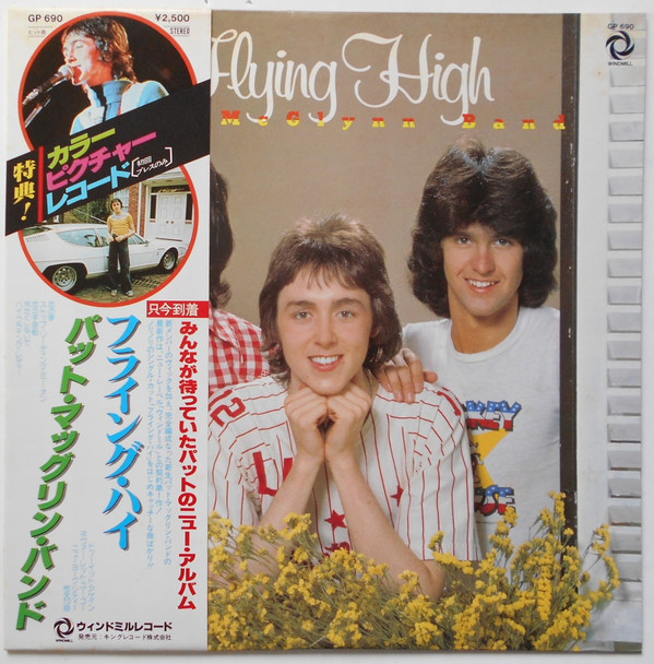 The Pat McGlynn Band - Flying High (LP, Album, Pic)