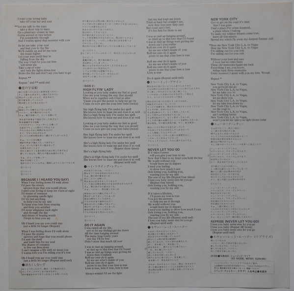 The Pat McGlynn Band - Flying High (LP, Album, Pic) - 画像 (4)