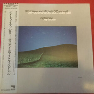 Billy Oskay And Mícheál Ó Domhnaill - Nightnoise (LP, Album, Promo)