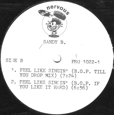 Sandy B - Feel Like Singin' (12", Promo) - 画像 (3)