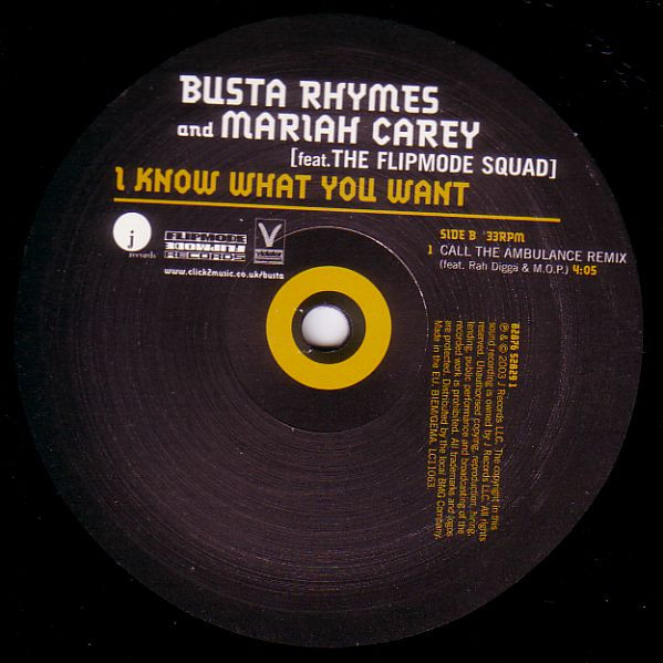 Busta Rhymes And Mariah Carey Feat. The Flipmode Squad* - I Know What You Want (12", Single) - 画像 (4)