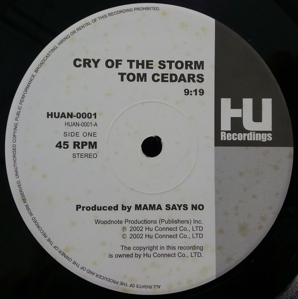 Tom Cedars - Cry Of The Storm (12", Single, Promo) - 画像 (2)