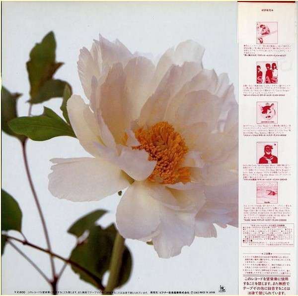 サザンオールスターズ = Southern All Stars - 綺麗 = Kirei (LP, Album) - 画像 (2)