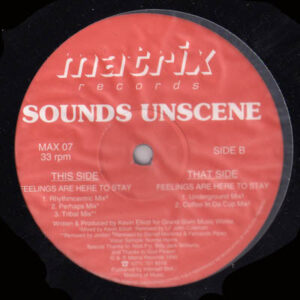 Sounds Unscene - Feelings Are Here To Stay (12")