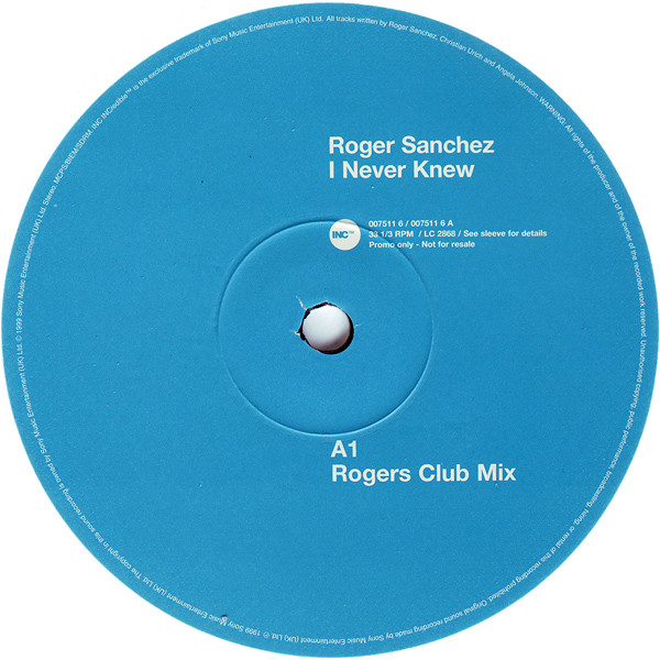Roger Sanchez - I Never Knew (12", Promo) - 画像 (2)