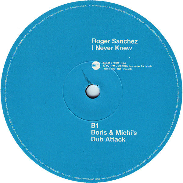 Roger Sanchez - I Never Knew (12", Promo) - 画像 (3)