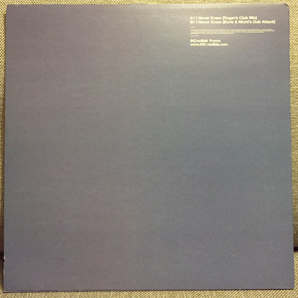Roger Sanchez - I Never Knew (12", Promo) - 画像 (4)