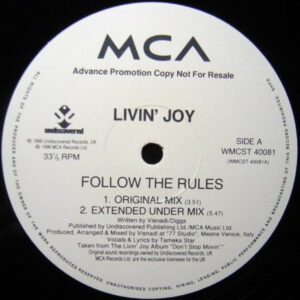 Livin' Joy - Follow The Rules (Exclusive Mixes From Visnadi & Satoshi Tomiie) (2x12", Promo)