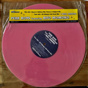 Peak Boys - I Will Survive (12")